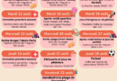 Programme du Service Jeunesse – Août 2025
