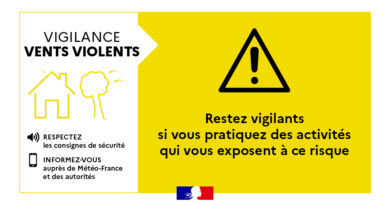 🟨 Vigilance météo jaune : vent violent