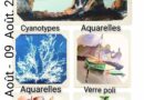 Expositions peintures
