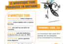 Action anti moustiques