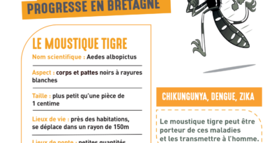 Action anti moustiques